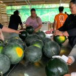 Photo Credit Tonga Ministry of Trade Economic Development Facebook